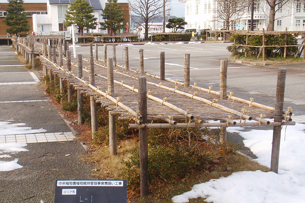 雪囲い工事（富山県中央植物園）